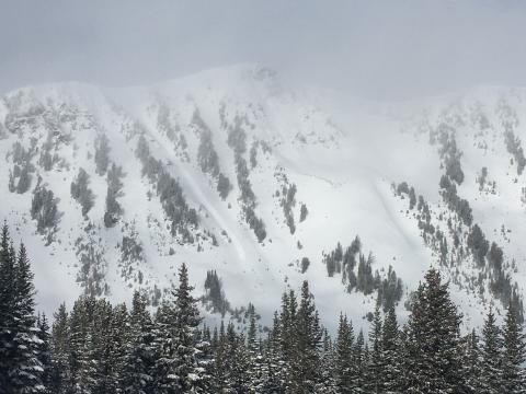 Dry Loose new snow avalanche in Cooke | Gallatin National Forest ...